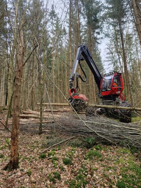 Harvester in der Durchforstung